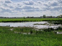 Waterbergingsgebied Blokhoven